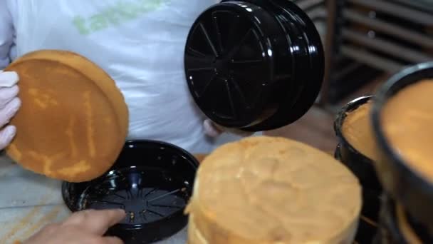 Ciasto Biszkoptowe Krojone Linii Produkcyjnej Fabryce Żywności Proces Produkcyjny Krojenia — Wideo stockowe