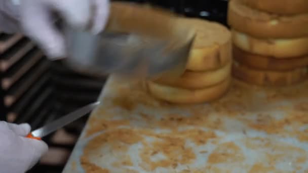 Κομμένο Κέικ Σφουγγάρι Στη Γραμμή Παραγωγής Στο Εργοστάσιο Τροφίμων Διαδικασία — Αρχείο Βίντεο
