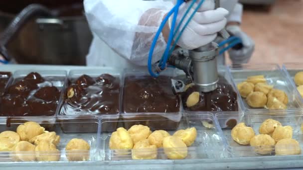 Cocinar Profiteroles Chocolate Línea Producción Concepto Comida Dulce Cajas Con — Vídeos de Stock