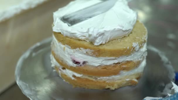 パティスリーの製造工程でケーキ ストロベリーの誕生日ケーキでケーキを飾る ペイストリーシェフがケーキを作っています ベーキングコンセプト バタークリームとクリームスポンジケーキ — ストック動画