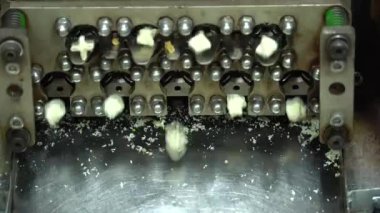 Ravioli fabrikası. Hamur köftesi fabrikasında ütomatik makine üretim süreci. Manti üretim fabrikasındaki üretim sürecinin konveyör bandı 4K video çekimi üzerine taze çiğ Türk mantısı..