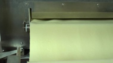 Bir Köfte Fabrikasında Otomatik Makine Üretim Sürecinin Yakın Çekim Görüntüleri. Taze Ham Pelmeni Konveyör Bant Üzerinde Oluşur ve Güz vardır. Gıda Fabrikasında Endüstriyel Makine İşletilmesi.