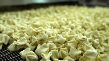 Ravioli fabrikası. Hamur köftesi fabrikasında ütomatik makine üretim süreci. Manti üretim fabrikasındaki üretim sürecinin konveyör bandı 4K video çekimi üzerine taze çiğ Türk mantısı..