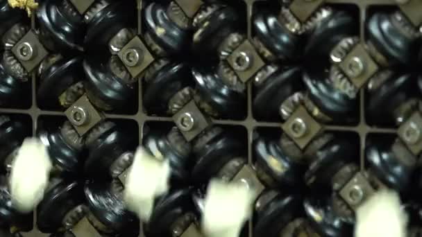 Fechar Filmagem Processo Produção Automática Máquinas Uma Fábrica Dumpling Queda — Vídeo de Stock