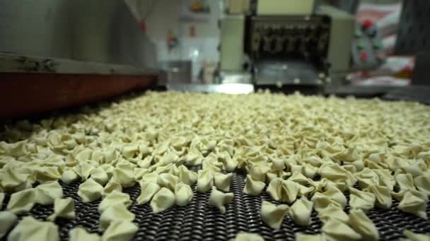 Närbild Bilder Den Automatiska Maskinen Produktionsprocessen Dumpling Factory Färsk Pelmeni — Stockvideo