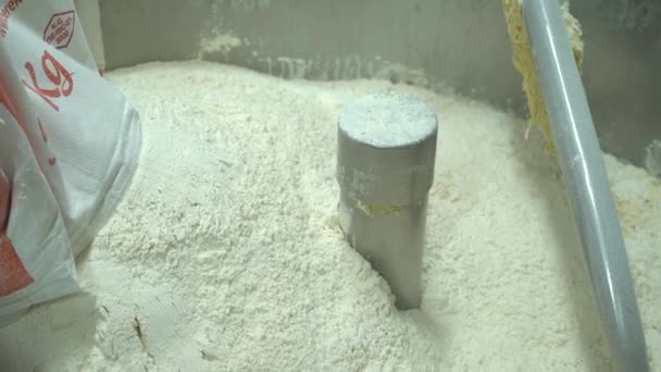Maszyna Robienia Mąki Proces Robienia Ciasta Ravioli Automatyczna Produkcja Pierogów — Wideo stockowe