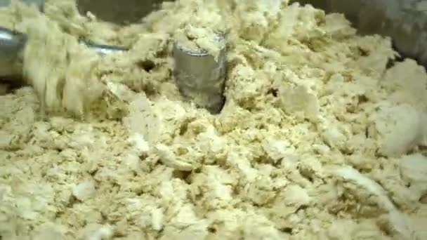 Maszyna Robienia Mąki Proces Robienia Ciasta Ravioli Automatyczna Produkcja Pierogów — Wideo stockowe