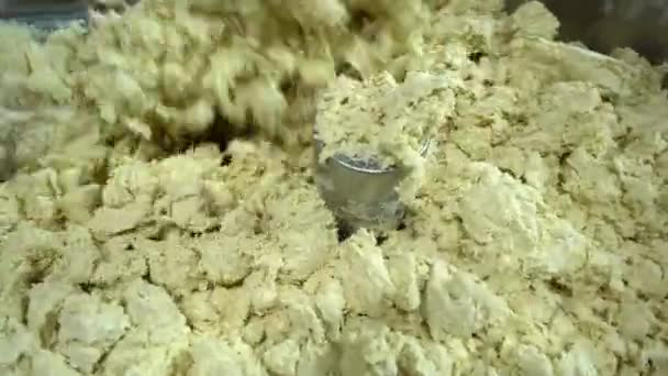 Mehlteigmaschine Teigzubereitung Für Ravioli Automatische Herstellung Von Knödeln Lebensmittelindustrie Nahrungsmittelproduktion — Stockvideo