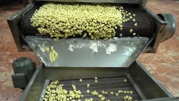 Proceso Producción Automática Máquina Una Fábrica Dumpling Fresh Raw Ravioli — Vídeo de stock