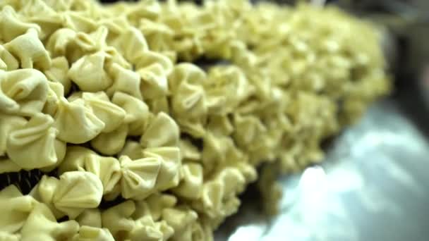 Εργοστάσιο Ravioli Αυτόματη Διαδικασία Παραγωγής Μηχανήματος Εργοστάσιο Dumpling Φρέσκα Ωμά — Αρχείο Βίντεο