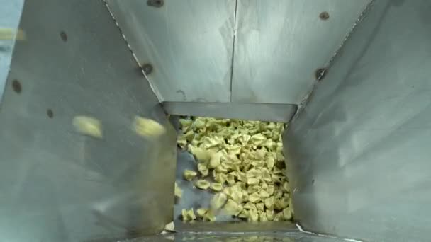 Fabryka Ravioli Automatyczny Proces Produkcji Maszyn Fabryce Pierogów Świeże Ravioli — Wideo stockowe