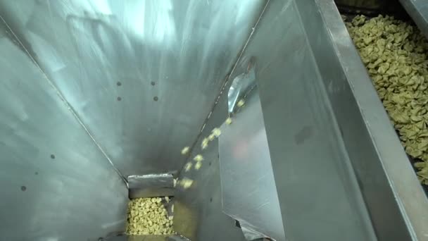 ダンピング工場での自動機械生産プロセス コンベアベルトで新鮮なトルコのラビオリ Mantiの生産工場での生産プロセスのビデオ撮影 — ストック動画
