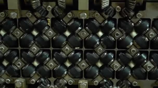 포장하는 공장은 완제품의 생산을 완성되었다 전통적 라비올리 공장에서 생산을 비디오 — 비디오
