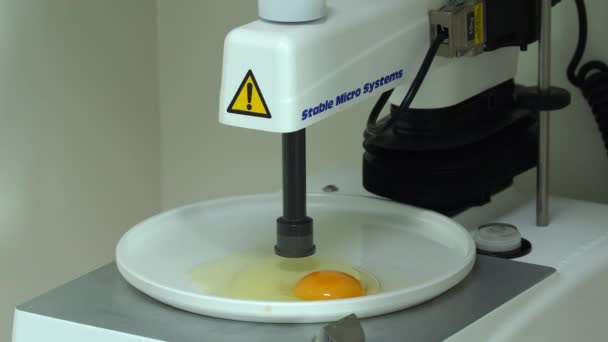Kwaliteitscontrole Gespecialiseerde Inspectie Voedselmonster Laboratorium Eieren Het Laboratorium Voor Kwaliteitscontrole — Stockvideo