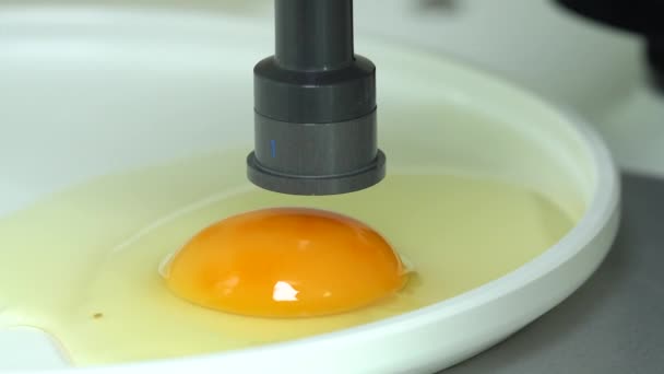 Ειδική Επιθεώρηση Ποιοτικού Ελέγχου Στο Δείγμα Τροφίμων Στο Εργαστήριο Αυγά — Αρχείο Βίντεο