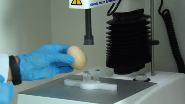 Kwaliteitscontrole Gespecialiseerde Inspectie Voedselmonster Laboratorium Eieren Het Laboratorium Voor Kwaliteitscontrole — Stockvideo
