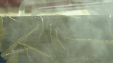 Geleneksel Türk yemekleri. Lezzetli Türk yemekleri; tepsi pastası; (Türkçe adı; Su boregi) Burek. Su Boregi 'yi yemek fabrikasında pişirmenin aşamaları. Yüksek kalite 4K video çekimi.