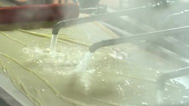 Geleneksel Türk yemekleri. Lezzetli Türk yemekleri; tepsi pastası; (Türkçe adı; Su boregi) Burek. Su Boregi 'yi yemek fabrikasında pişirmenin aşamaları. Yüksek kalite 4K video çekimi.