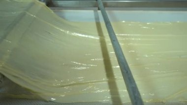 Geleneksel Türk yemekleri. Lezzetli Türk yemekleri; tepsi pastası; (Türkçe adı; Su boregi) Burek. Su Boregi 'yi yemek fabrikasında pişirmenin aşamaları. Yüksek kalite 4K video çekimi.