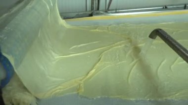 Geleneksel Türk yemekleri. Lezzetli Türk yemekleri; tepsi pastası; (Türkçe adı; Su boregi) Burek. Su Boregi 'yi yemek fabrikasında pişirmenin aşamaları. Yüksek kalite 4K video çekimi.