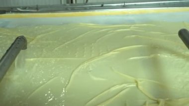 Geleneksel Türk yemekleri. Lezzetli Türk yemekleri; tepsi pastası; (Türkçe adı; Su boregi) Burek. Su Boregi 'yi yemek fabrikasında pişirmenin aşamaları. Yüksek kalite 4K video çekimi.