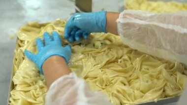Geleneksel Türk yemekleri. Lezzetli Türk yemekleri; tepsi pastası; (Türkçe adı; Su boregi) Burek. Su Boregi 'yi yemek fabrikasında pişirmenin aşamaları. Yüksek kalite 4K video çekimi.