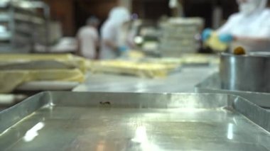 Geleneksel Türk yemekleri. Lezzetli Türk yemekleri; tepsi pastası; (Türkçe adı; Su boregi) Burek. Su Boregi 'yi yemek fabrikasında pişirmenin aşamaları. Yüksek kalite 4K video çekimi.