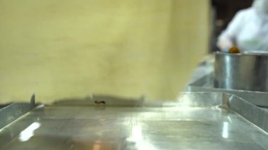 Geleneksel Türk yemekleri. Lezzetli Türk yemekleri; tepsi pastası; (Türkçe adı; Su boregi) Burek. Su Boregi 'yi yemek fabrikasında pişirmenin aşamaları. Yüksek kalite 4K video çekimi.