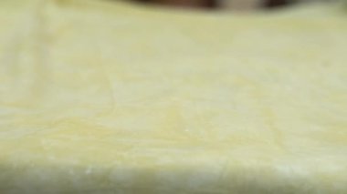 Geleneksel Türk yemekleri. Lezzetli Türk yemekleri; tepsi pastası; (Türkçe adı; Su boregi) Burek. Su Boregi 'yi yemek fabrikasında pişirmenin aşamaları. Yüksek kalite 4K video çekimi.