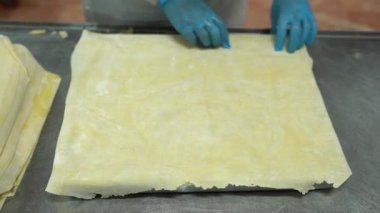Geleneksel Türk yemekleri. Lezzetli Türk yemekleri; tepsi pastası; (Türkçe adı; Su boregi) Burek. Su Boregi 'yi yemek fabrikasında pişirmenin aşamaları. Yüksek kalite 4K video çekimi.