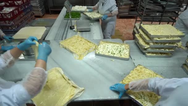 土耳其传统食品 美味的土耳其食品 土耳其语 Boregi Burek 在一家食品制造厂做饭的各个阶段 高质量的4K视频拍摄 — 图库视频影像