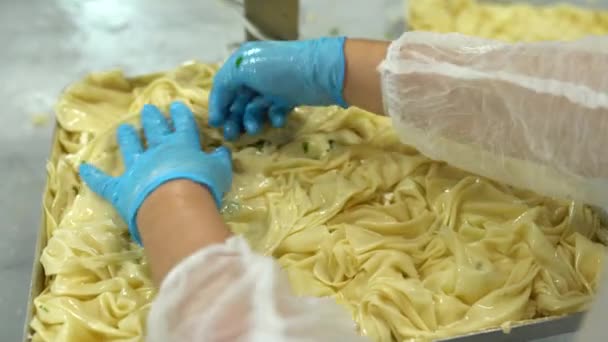 土耳其传统食品 美味的土耳其食品 土耳其语 Boregi Burek 在一家食品制造厂做饭的各个阶段 高质量的4K视频拍摄 — 图库视频影像