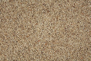 Gluten free Sorghum seeds isolated on white background.   Whole seeds of Sorghum Moench, millet, feed. A Bowl of Sprouted Sorghum and Sorghum Flour on a Bright White Table.