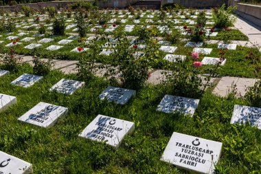 Afyon, Dumlupinar, Türkiye 30 Haziran 2023; Dumlupinar 'daki Zafer Anıtları ve Mezarlığı. Dumlupinar Muharebesi, Türkiye Bağımsızlık Savaşı' nın (Türkiye Bağımsızlık Savaşı 'nın bir parçası) bir parçası olan Greko Türk Savaşı' nın son muharebesiydi.)