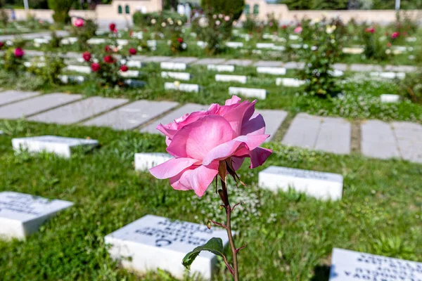 stock image Afyon, Dumlupinar, Turkiye 30 Haziran 2023;Victory Monuments and cemetery in Dumlupinar.The Battle of Dumlupinar was the last battle in the Greco Turkish War (part of the Turkish War of Independence)