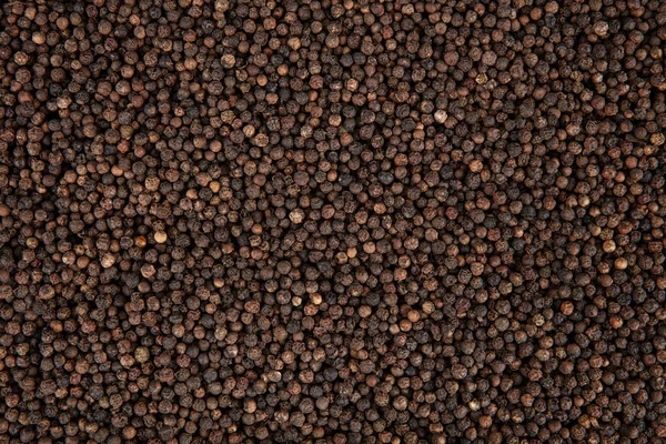 印度香料 黑胡椒粉 黑胡椒玉米散落 磨碎黑胡椒花瓣 — 图库照片