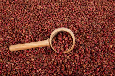 Tahta kaşıkta kuru baharatlı sumak. Yer sumac baharatı. Kurutulmuş kırmızı Sumac tozu, ahşap kaşıkta, kırsal masada sumak üzümlü baharatlar. Sağlıklı gıda konsepti.