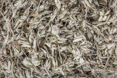 Kurutulmuş adaçayı, adaçayı, bir parça doğal odun, doğal ilaçlar, doğal ilaçlar.