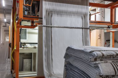 Halı fabrikası için sentetik iplikler, halı üretimi, dokuma tezgahları. Halı Sallama Bütünleşik Makinesi Halı Dokuma Fabrikasında.