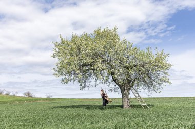 Armut ağacında sallanan genç bir kız. Mutlu bir kadının dışarıda sallandığı tahta bir salıncak. Salıncakta sallanmak, uçmayı hayal etmek. İlkbahar ve yaz aylarında doğada seyahat edin. Sağlıklı yaşam tarzı.