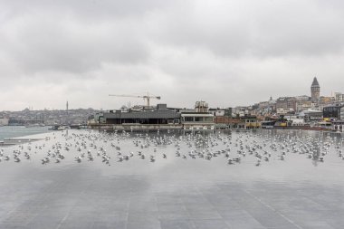 İstanbul Modern Sanatlar Müzesi 'nin terasından İstanbul manzarası. İstanbul Modern Sanat Müzesi terasından Galata manzaralı yansıma havuzunda martılar.