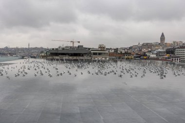 Bosphorus view from the terrace of the Istanbul Museum of Modern Art. Galata view from terrace of Istanbul Modern Art Museum with seagulls in the reflection pool. clipart