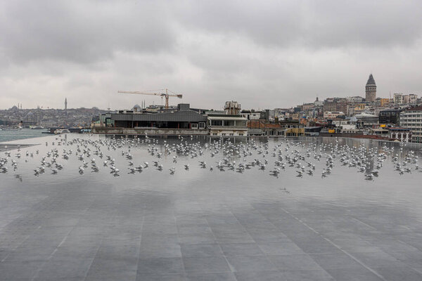 Bosphorus view from the terrace of the Istanbul Museum of Modern Art. Galata view from terrace of Istanbul Modern Art Museum with seagulls in the reflection pool.