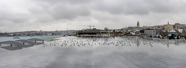 Panorama Bosphorus view from the terrace of the Istanbul Museum of Modern Arts. View of Galata from the terrace of the Istanbul Museum of Modern Art, with seagulls in the reflection pool.