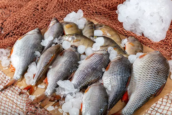 stock image Freshwater fish carp are sold at the fishmonger's stall. Raw Greas carp fish on the market stall. Seafood supermarket counter full of fresh fish. Fresh fish delivery concept.