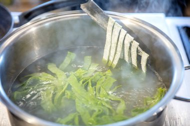 Ispanaklı yeşil makarna. Ispanaklı makarna. Kadın şef yeşil ıspanaklı makarna hamurunu fırının üstünde kaynayan bir tencereye atıp makarna pişiriyor..