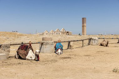 Camel in hot day and Harran houses in the Harran village in background, Sanliurfa, Turkey. clipart