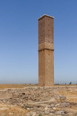 Harran 'daki Ulu Cami harabeleri. Bu mimari anıt Anadolu 'daki en eski camidir ve 8. yüzyılda inşa edilmiştir. Antik Harran kentinin kalıntıları, Şanlıurfa, Türkiye.