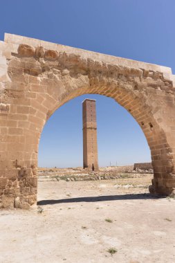 Harran 'daki Ulu Cami (Büyük Cami) harabeleri. Eskiden minare ve gözlemevi olarak kullanılan uzun, bağımsız bir kule. Harran, Sanliurfa yakınlarında bir turizm beldesi.