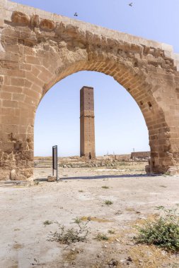 Harran 'daki Ulu Cami (Büyük Cami) harabeleri. Eskiden minare ve gözlemevi olarak kullanılan uzun, bağımsız bir kule. Harran, Sanliurfa yakınlarında bir turizm beldesi.